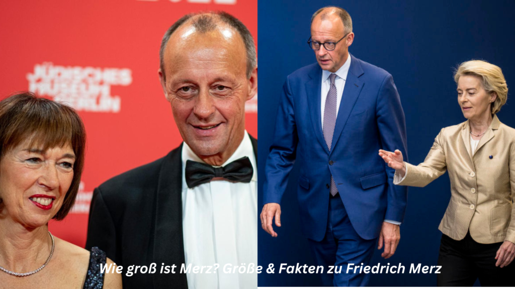 wie groß ist merz
