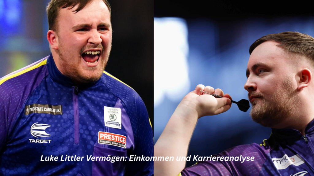 luke littler vermögen